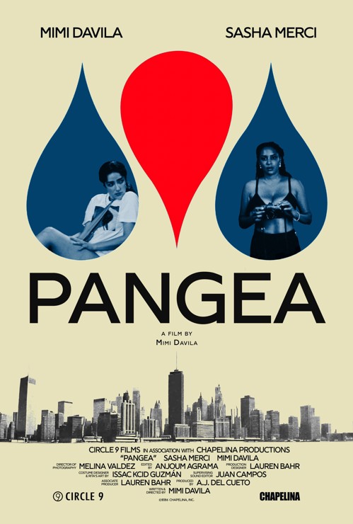 Pangea kapak görseli