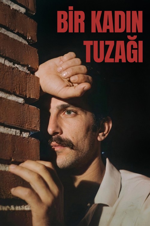 Bir Kadın Tuzağı kapak görseli