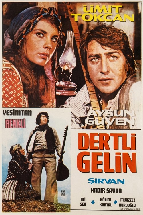 Dertli Gelin Şirvan kapak görseli