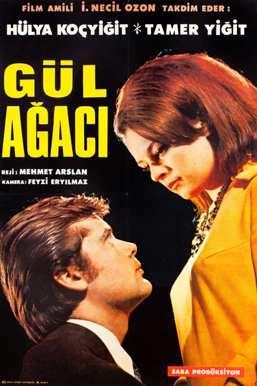 Gül Ağacı kapak görseli
