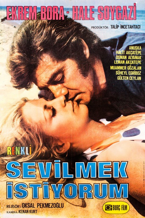 Sevilmek İstiyorum kapak görseli