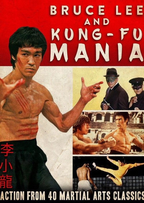 Bruce Lee and Kung Fu Mania kapak görseli