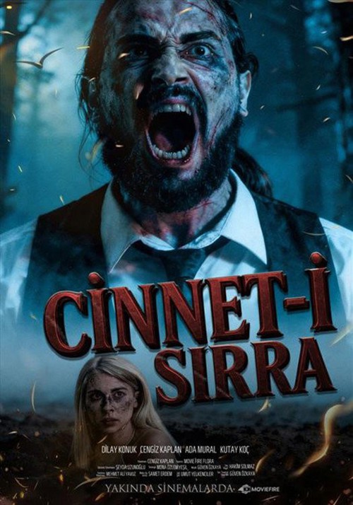 Cinnet-i Sırra kapak görseli