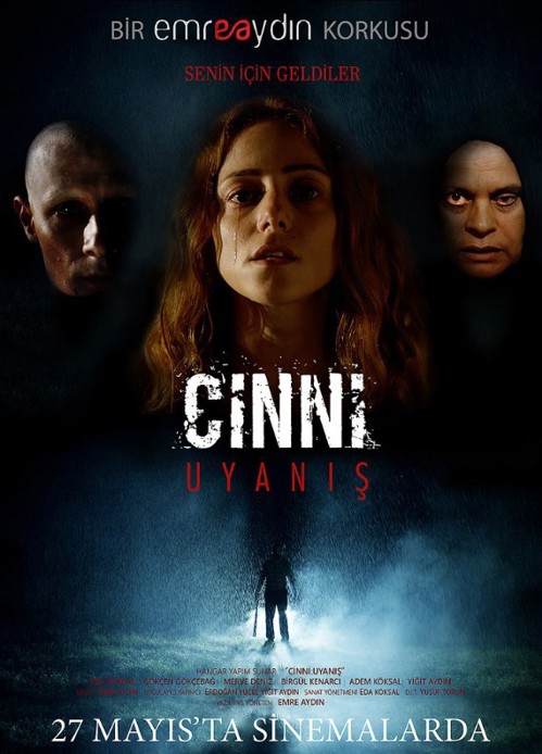 Cinni: Uyanış kapak görseli