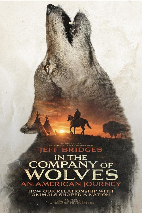 In the Company of Wolves: An American Journey kapak görseli