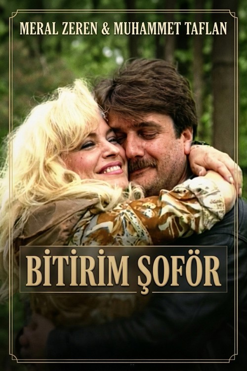Bitirim Şoför kapak görseli