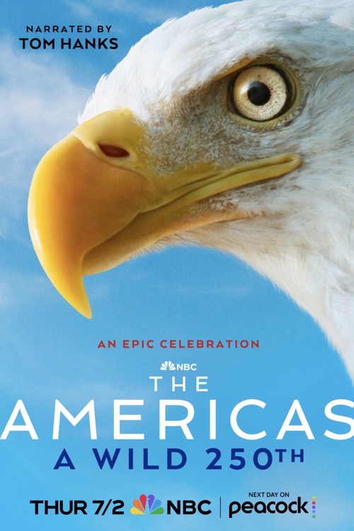 The Americas: A Wild 250th kapak görseli