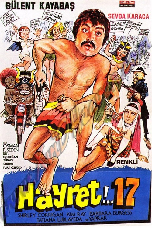 Hayret 17 kapak görseli