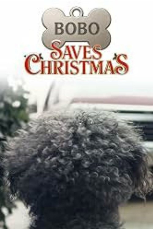 Bobo Saves Christmas kapak görseli