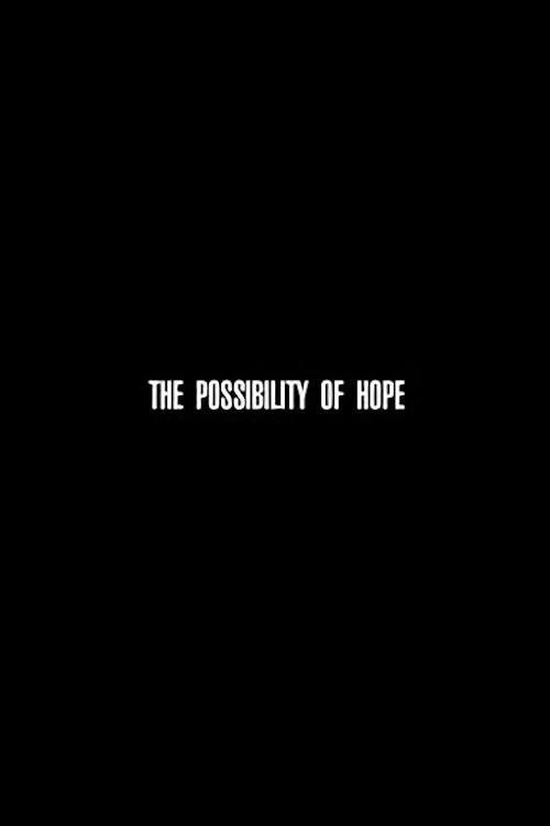The Possibility of Hope kapak görseli