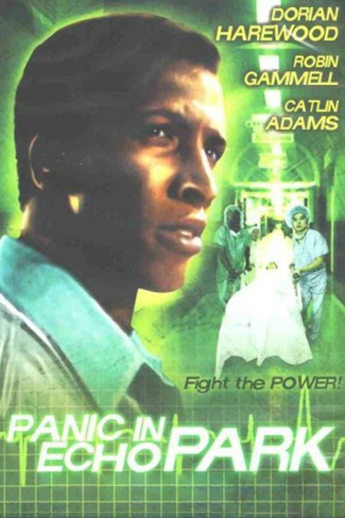 Panic in Echo Park kapak görseli