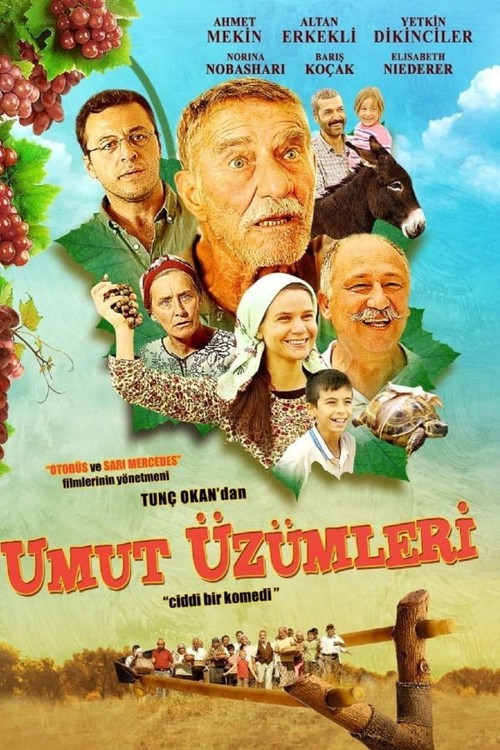 Umut Üzümleri kapak görseli