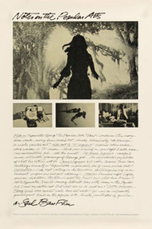 Notes on the Popular Arts kapak görseli