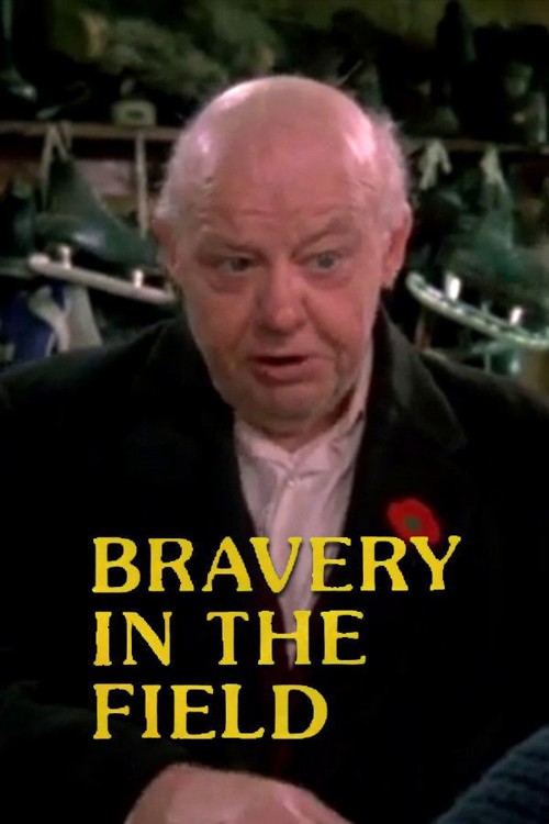 Bravery in the Field kapak görseli