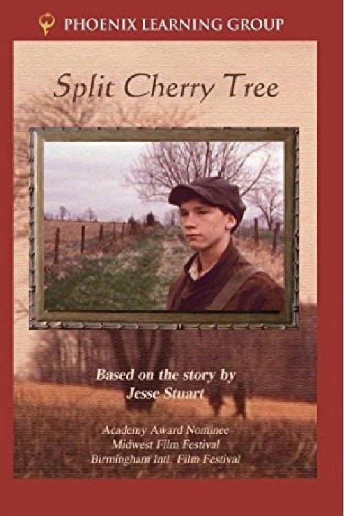 Split Cherry Tree kapak görseli