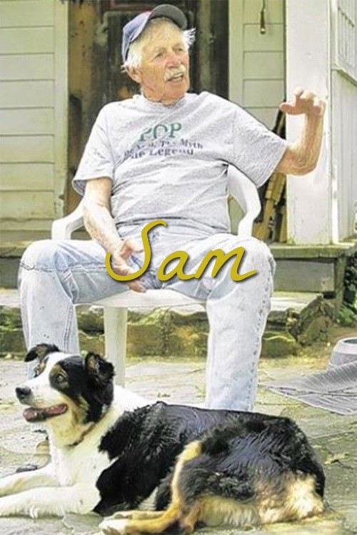 Sam kapak görseli
