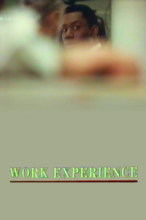 Work Experience kapak görseli