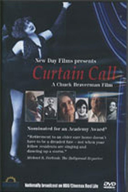 Curtain Call kapak görseli