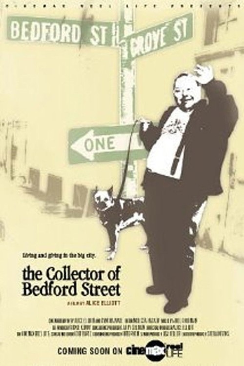 The Collector of Bedford Street kapak görseli