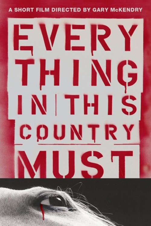 Everything in This Country Must kapak görseli
