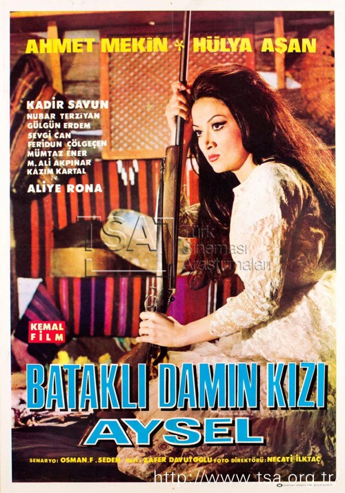 Bataklı Damın Kızı Aysel kapak görseli