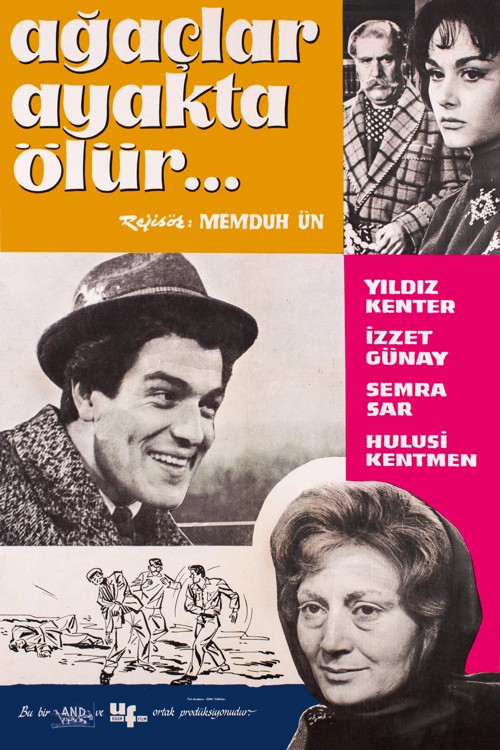 Ağaçlar Ayakta Ölür kapak görseli