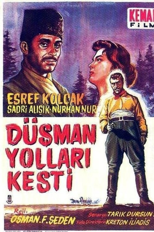 Düşman Yolları Kesti kapak görseli