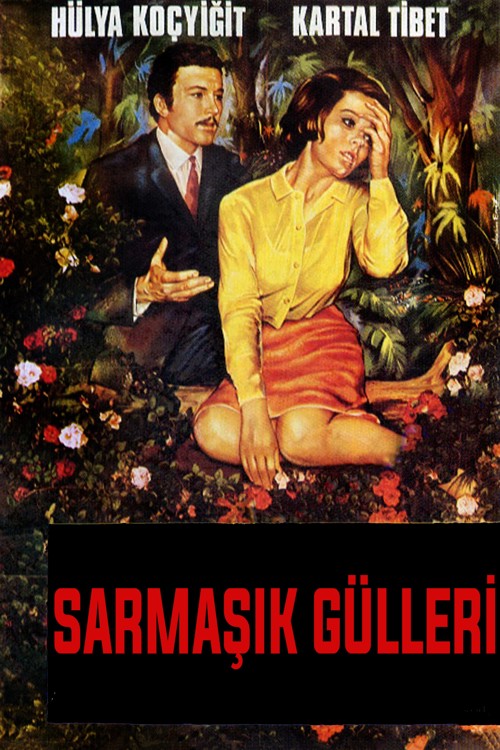 Sarmaşık Gülleri kapak görseli