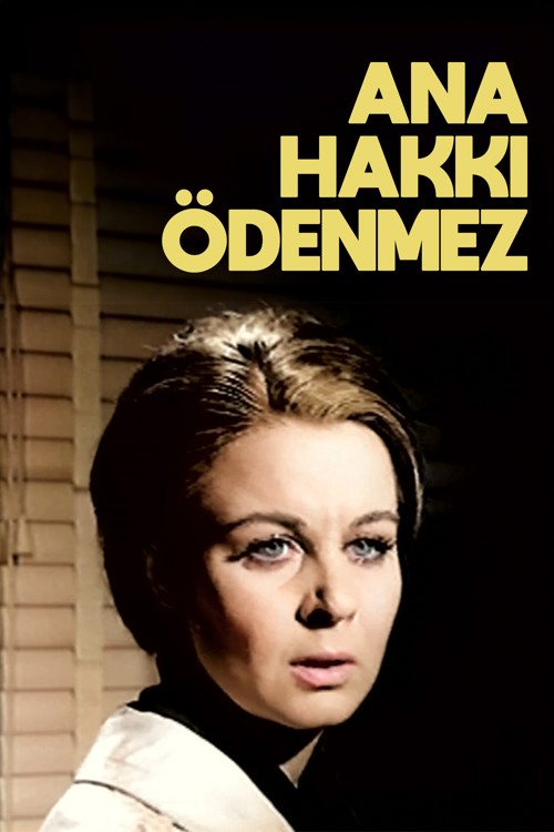 Ana Hakkı Ödenmez kapak görseli
