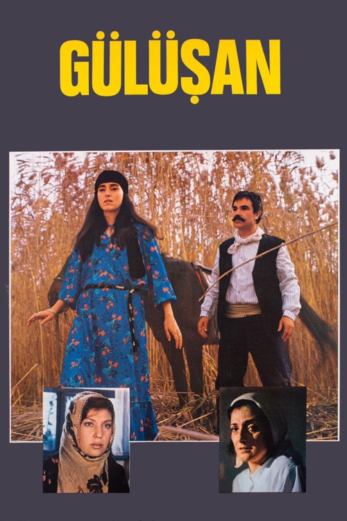 Gülüşan kapak görseli