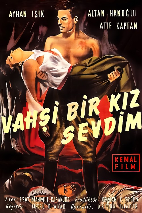 Vahşi Bir Kız Sevdim kapak görseli