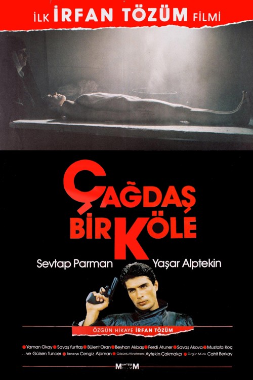 Çağdaş Bir Köle kapak görseli