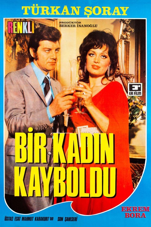Bir Kadın Kayboldu kapak görseli