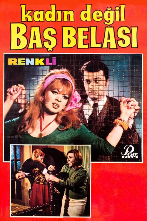 Kadın Değil Baş Belası kapak görseli