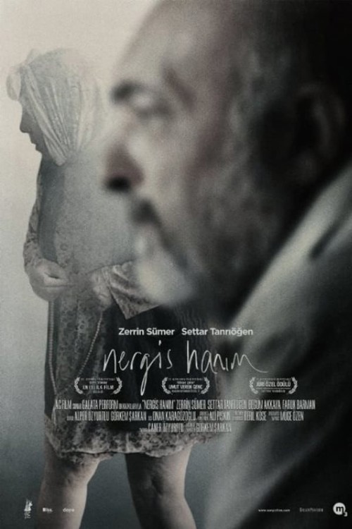 Nergis Hanım kapak görseli