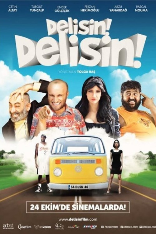 Delisin! Delisin! kapak görseli