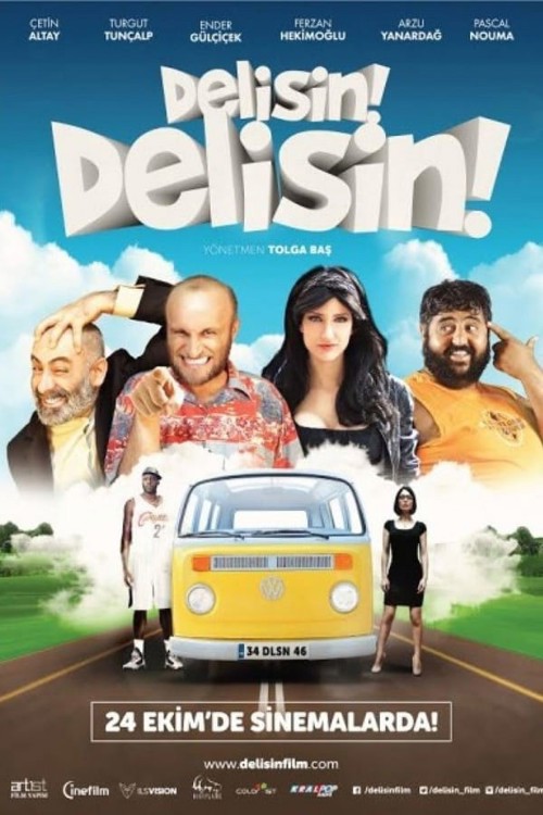 Delisin! Delisin! kapak görseli