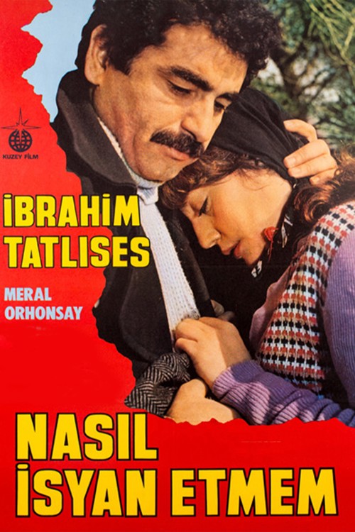 Nasıl İsyan Etmem kapak görseli