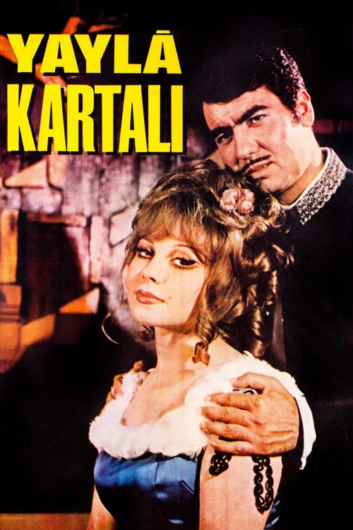 Yayla Kartalı kapak görseli