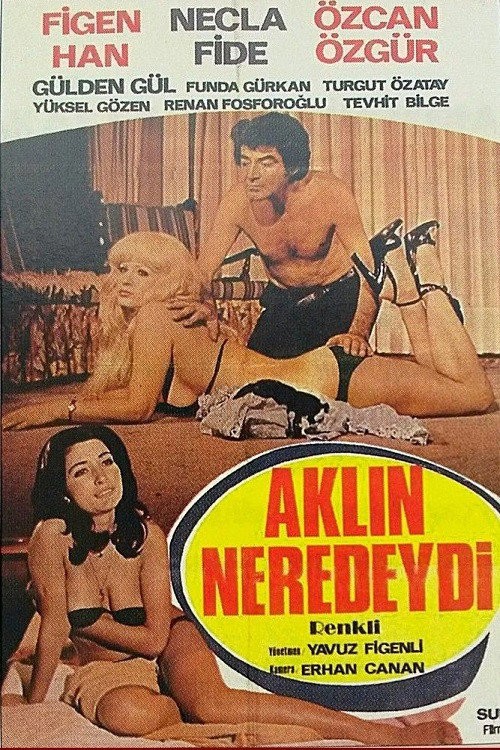 Aklın Neredeydi kapak görseli