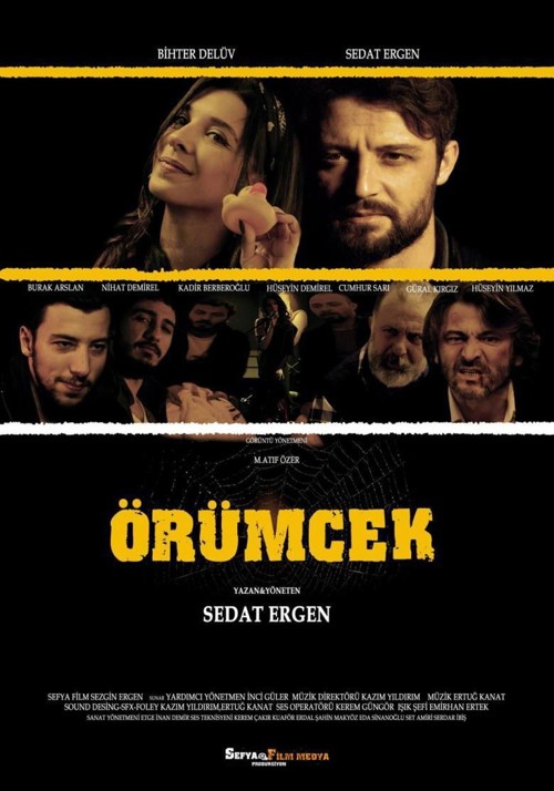 Örümcek kapak görseli