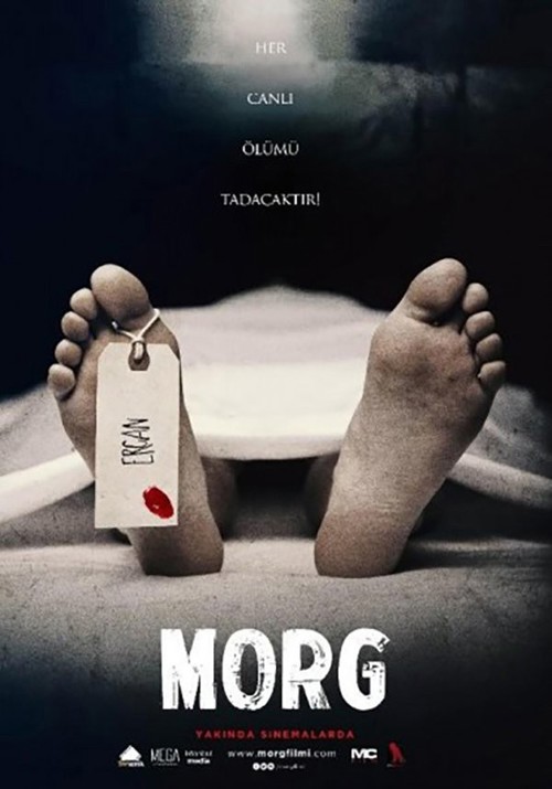 Morg kapak görseli