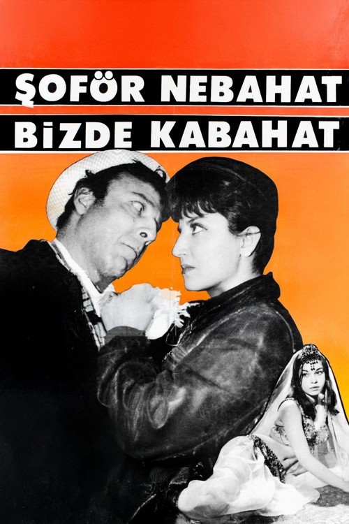 Şoför Nebahat Bizde Kabahat kapak görseli