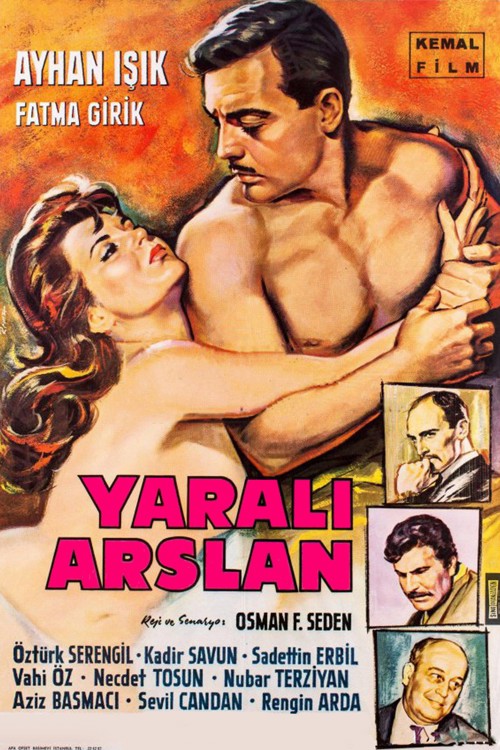 Yaralı Aslan kapak görseli