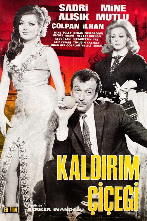 Kaldırım Çiçeği kapak görseli