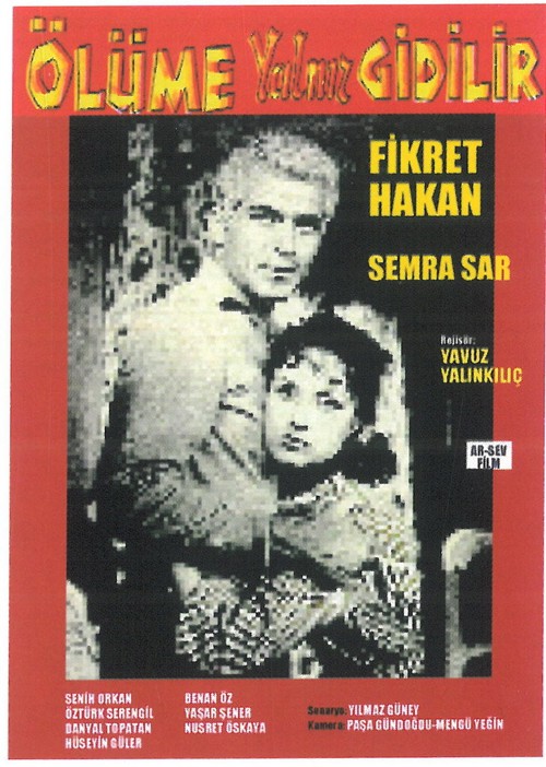 Ölüme Yalnız Gidilir kapak görseli