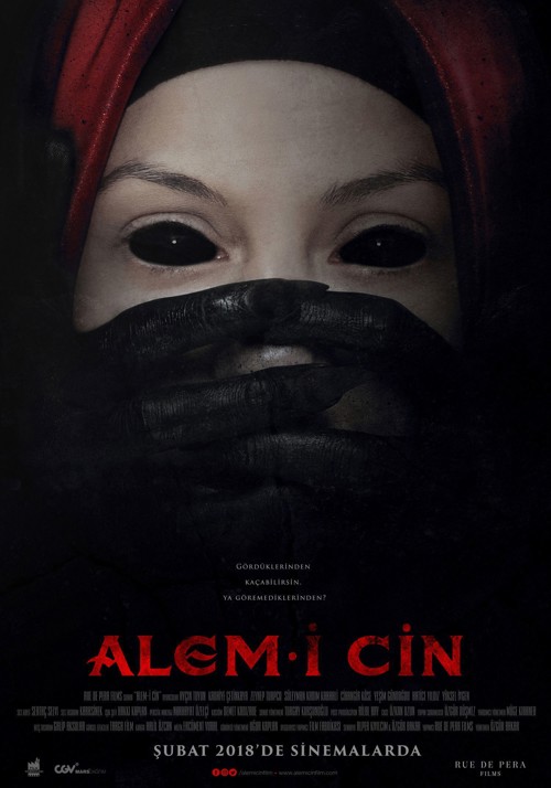 Alem-i Cin kapak görseli