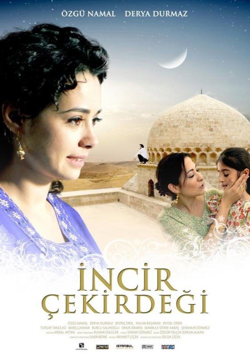 İncir Çekirdeği kapak görseli