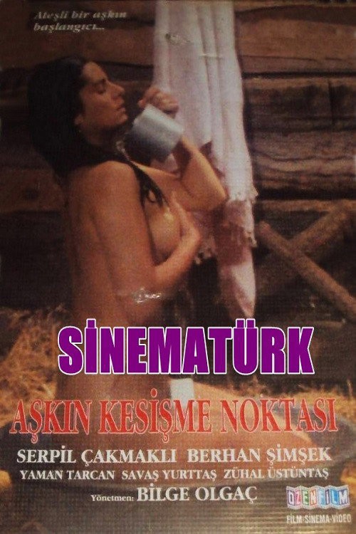 Aşkın Kesişme Noktası kapak görseli