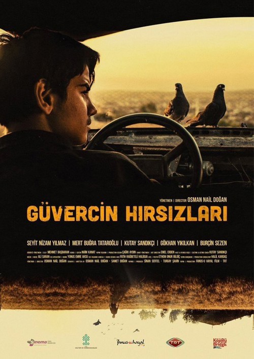 Güvercin Hırsızları kapak görseli